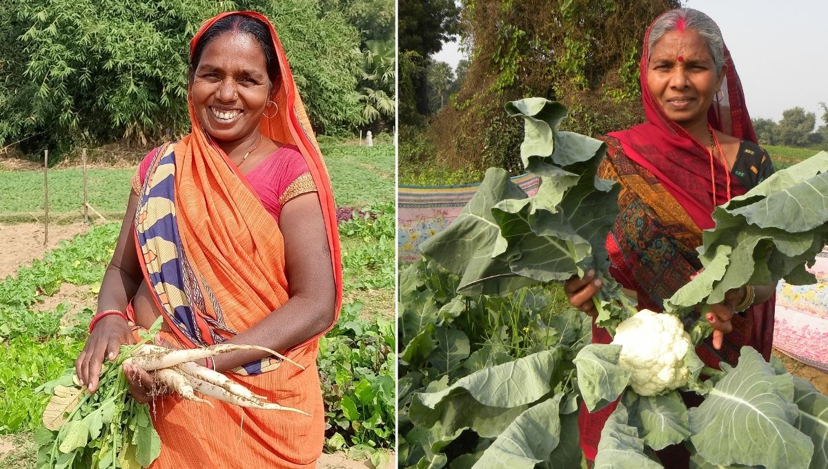सीएम फेलो ने सण्डीला में शुरू किया किचन गार्डन का इनोवेटिव प्रयोग, महिलाओं के सशक्तिकरण और पोषण में लाया बदलाव