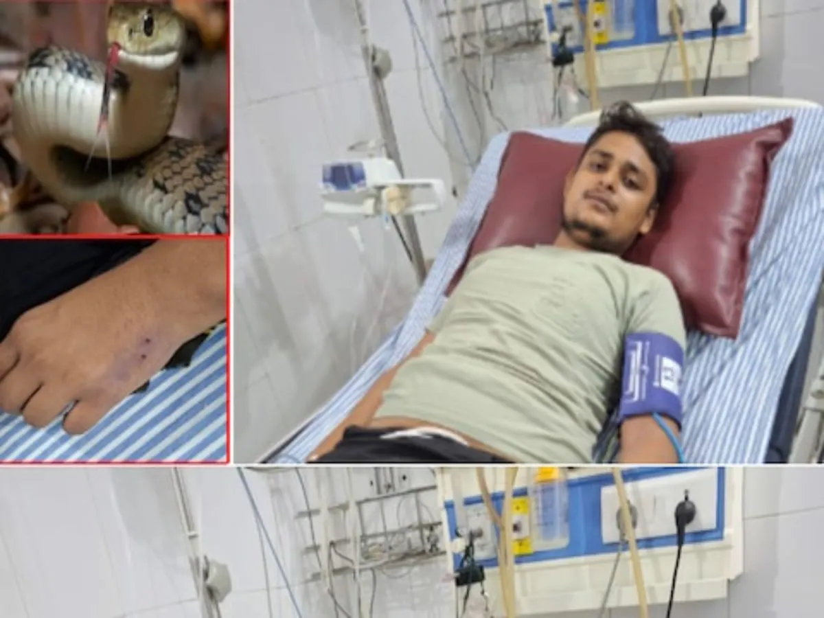 ग्रेटर नोएडा: बी ब्लॉक डेल्टा-1 में युवक को सांप ने काटा, जिम्स अस्पताल में भर्ती, हालत स्थिर