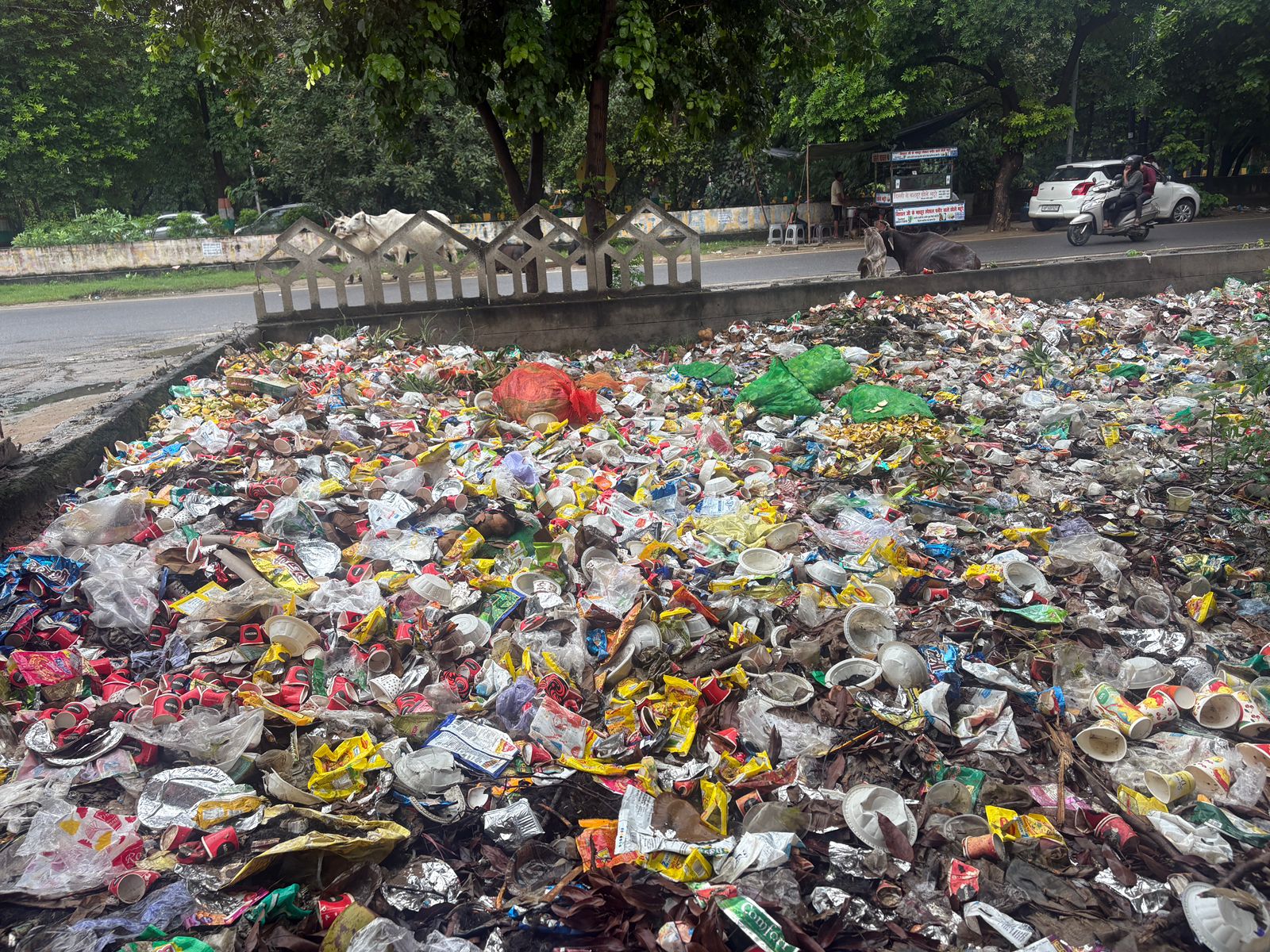 ग्रेटर नोएडा में गंदगी का अंबार, बीमारियों का खतरा बढ़ा – जिम्मेदारी किसकी?