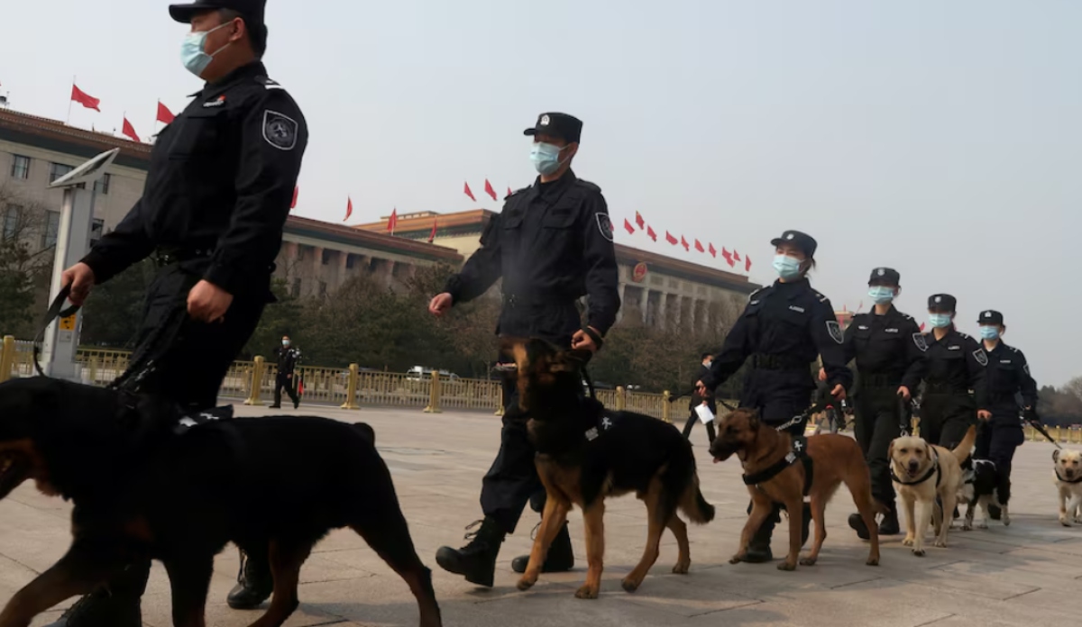 चीन की पुलिस अब विदेशी कुत्तों की बजाय ‘कुनमिंग डॉग’ पर करेगी भरोसा